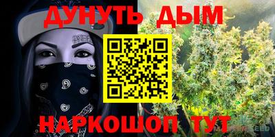 шишки Шебекино