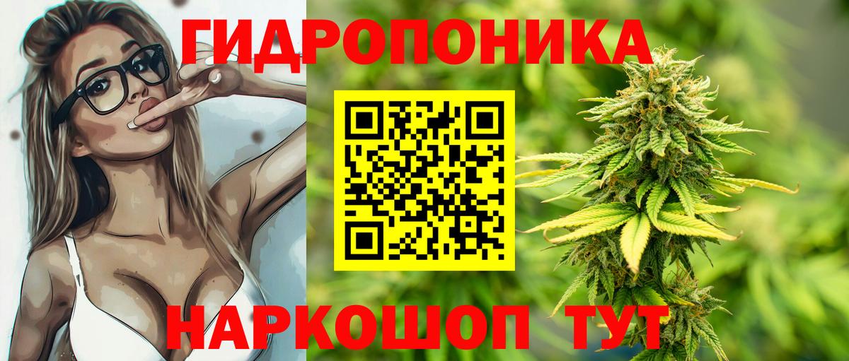 МАРИХУАНА план Элиста